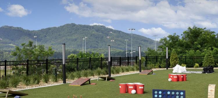 希尔顿Tempo酒店，鸽子谷(Tempo by Hilton Pigeon Forge)图片