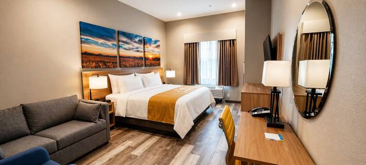 大汤博尔温德姆戴斯套房酒店(Days Inn & Suites by Wyndham Greater Tomball)图片