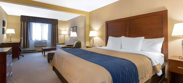 铁山北部的舒适酒店(Comfort Inn)图片
