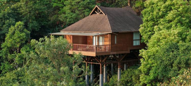 库格塔玛拉酒店(The Tamara Coorg)图片