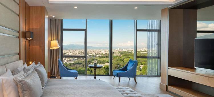 瑞享温泉水疗酒店(Mövenpick Bursa Hotel and Thermal Spa)图片