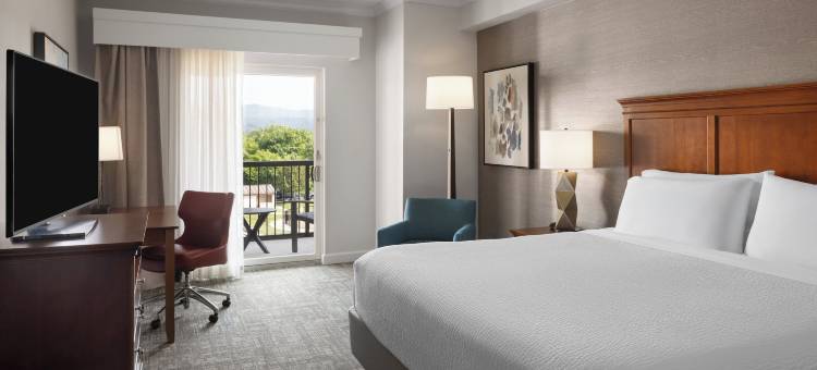 Holiday Inn Resort 乔治湖，草地(Holiday Inn Resort LAKE GEORGE - ADIRONDACK AREA by IHG)图片