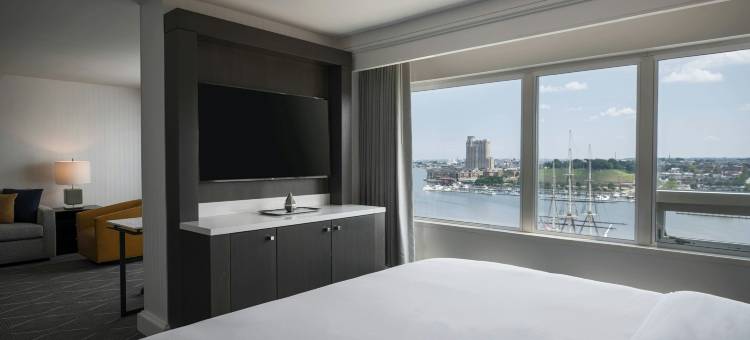 巴尔的摩哈勃尔普勒斯万丽酒店(Renaissance Baltimore Harborplace Hotel)图片
