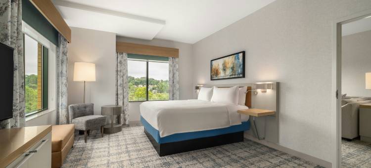 舍尔灵顿希尔顿花园旅馆(Hilton Garden Inn  Arlington Shirlington)图片