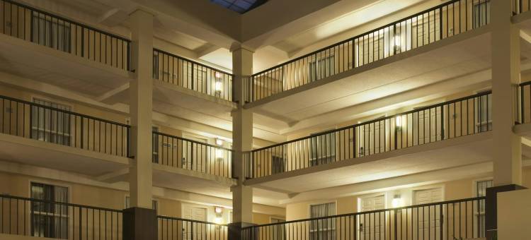 克利夫兰比奇伍德希尔顿安泊酒店(Embassy Suites by Hilton Cleveland Beachwood)图片