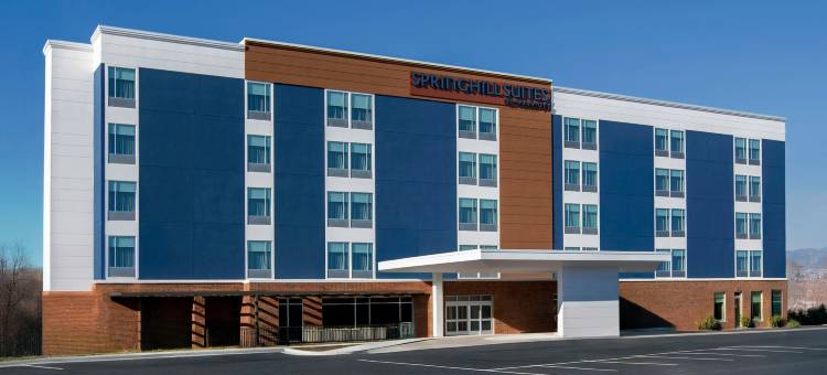 里士满机场SpringHill Suites酒店(SpringHill Suites by Marriott Richmond Airport)图片