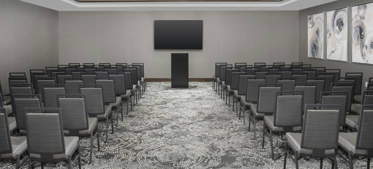 诺克斯维尔市中心希尔顿安泊酒店(Embassy Suites by Hilton Knoxville Downtown)图片