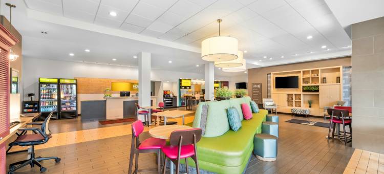 夏洛特机场希尔顿惠庭酒店(Home2 Suites by Hilton Charlotte Airport)图片