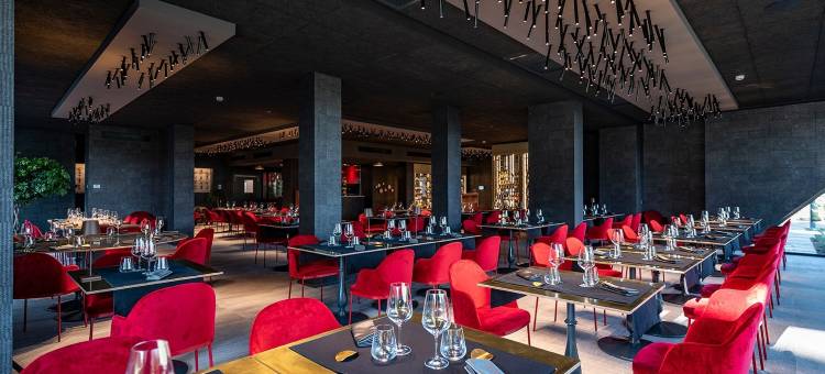 费酒店皮亚乔(Phi Hotel Piajo)图片