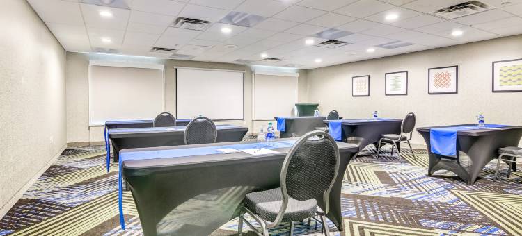 朗维尤北智选假日套房酒店(Holiday Inn Express & Suites Longview North)图片