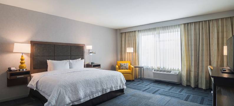 希尔顿欢朋酒店-北芝加哥洛约拉站(Hampton Inn Chicago North/Loyola Station)图片