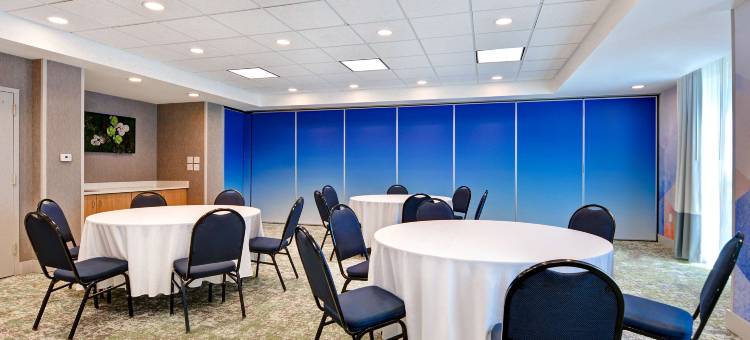 希尔顿花园旅馆-杰克逊维尔橘园(Hilton Garden Inn Jacksonville Orange Park)图片