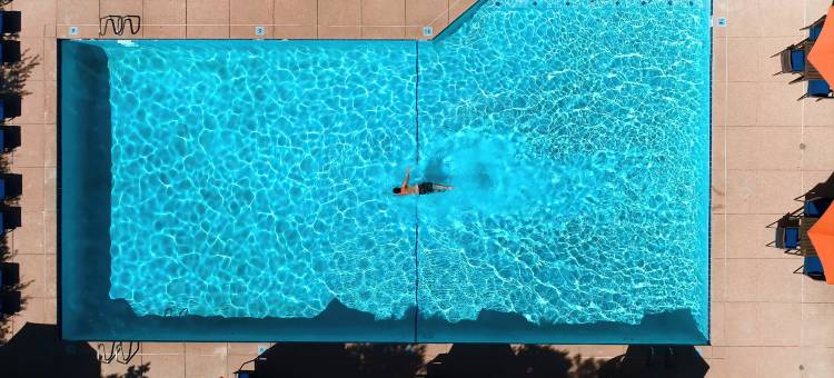 丹佛因弗内斯希尔顿高尔夫及 Spa 度假村酒店(The Inverness Denver, a Hilton Golf & Spa Resort)图片