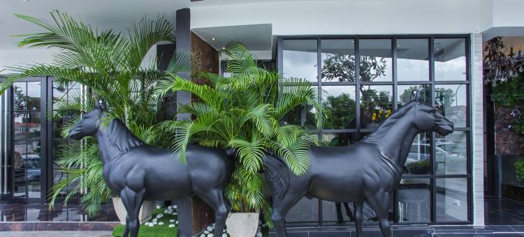 米德力概念酒店(Midori Concept Hotel)图片