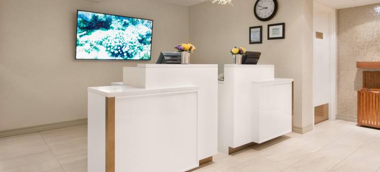 芝加哥华丽一英里洲际酒店(InterContinental Chicago Magnificent Mile)图片