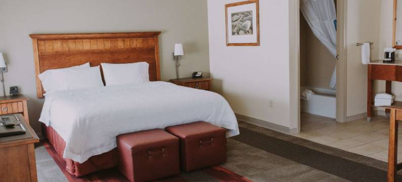 希尔顿欢朋套房酒店-绿河(Hampton Inn & Suites Green River)图片