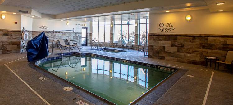 拉皮德城希尔顿花园酒店(Hilton Garden Inn Rapid City)图片