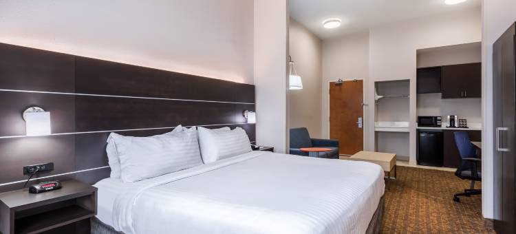 智选假日套房酒店不来梅 by IHG(Holiday Inn Express & Suites Bremen)图片