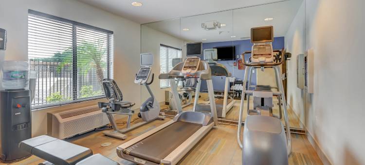 坦帕USF布希花园智选假日酒店及套房(Holiday Inn Express & Suites Tampa -USF-Busch Gardens)图片