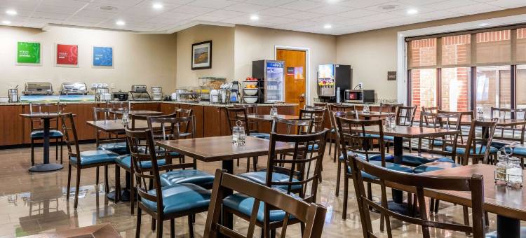 美国之路孟菲斯舒适套房机场酒店(Comfort Inn & Suites Airport-American Way)图片