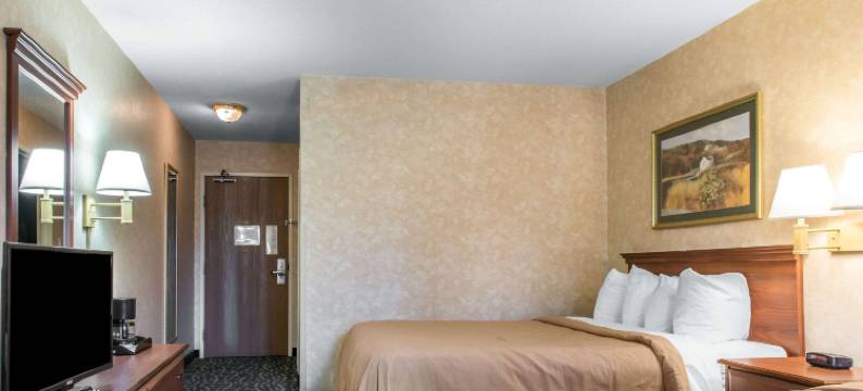凯艺套房酒店(Quality Inn & Suites)图片