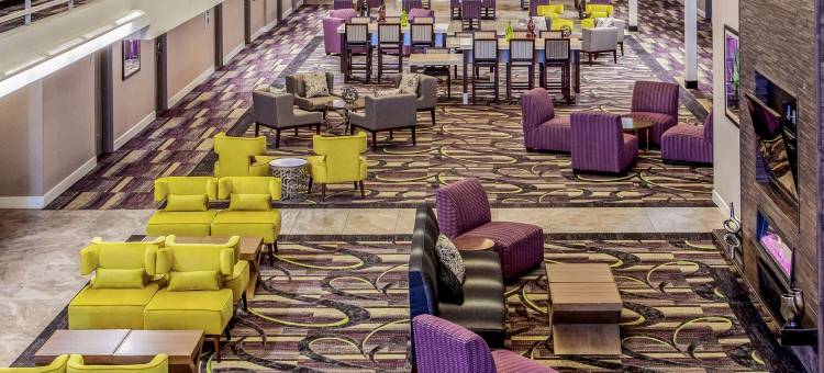 拉伯克西医疗中心拉昆塔温德姆套房酒店(La Quinta Inn & Suites by Wyndham Lubbock West Medical Centr)图片