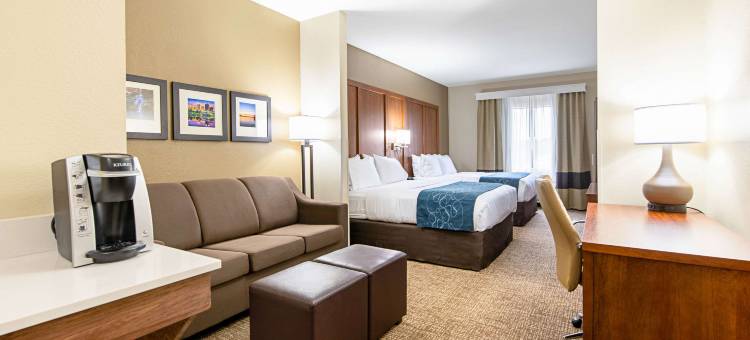 派恩布鲁夫舒适套房酒店(Comfort Inn & Suites Pine Bluff)图片