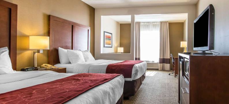 里奇蒙舒适套房酒店(Comfort Suites)图片