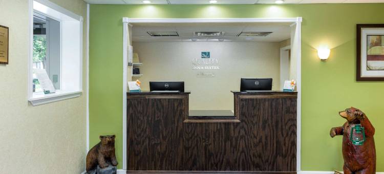 凯艺套房酒店(Quality Inn & Suites)图片