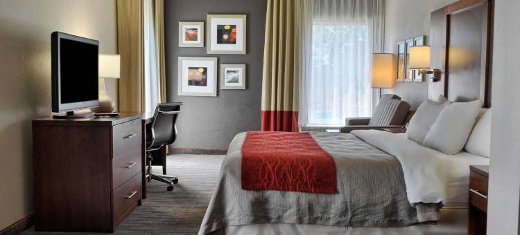 路斯格兰帝王之城附近舒适酒店(Comfort Inn Ruther Glen Near Kings Dominion)图片