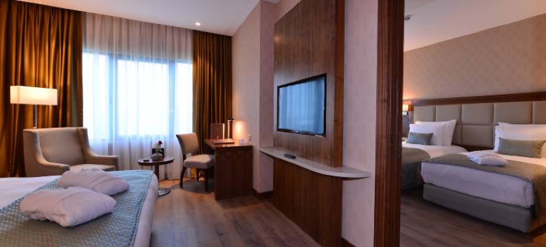 伊斯坦布尔玛姆特贝克拉丽奥酒店(Clarion Hotel Istanbul Mahmutbey)图片