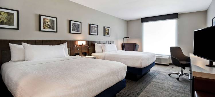杰克逊希尔顿花园酒店(Hilton Garden Inn Jackson)图片