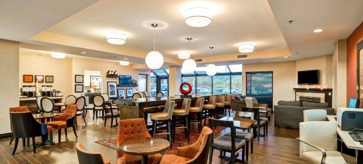 蒙太奇山斯克兰顿欢朋酒店(Hampton Inn Scranton at Montage Mountain)图片