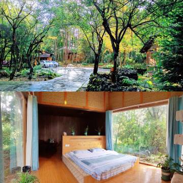 树袋熊森林温泉客栈(宝济路分店)