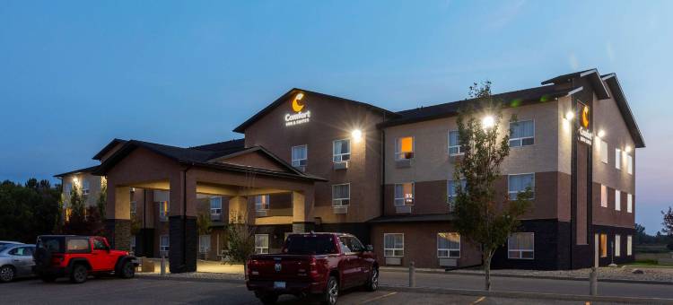 舒适套房酒店(Comfort Inn & Suites)图片