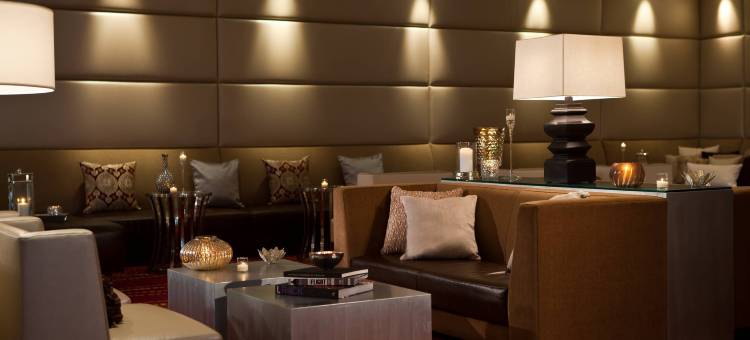 纽瓦克机场万丽酒店(Renaissance Newark Airport Hotel)图片