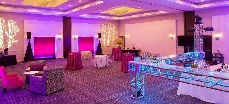 费尔法克斯希尔顿酒店(Hilton Fairfax)图片