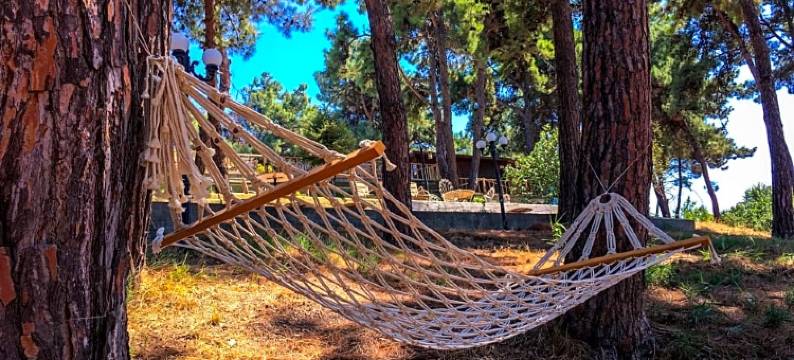 图桑酒店(Troia Tusan Hotel)图片