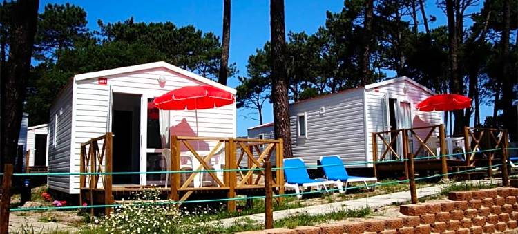 欧比特加敏哈露营酒店(Parque de Campismo Orbitur Caminha)图片