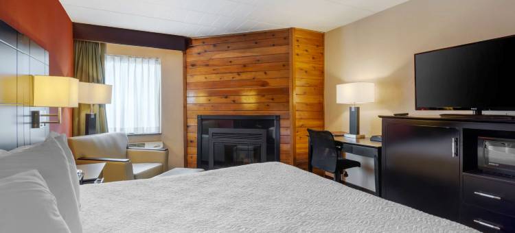 波科诺贝斯特韦斯特优质酒店(Best Western Plus Poconos Hotel)图片