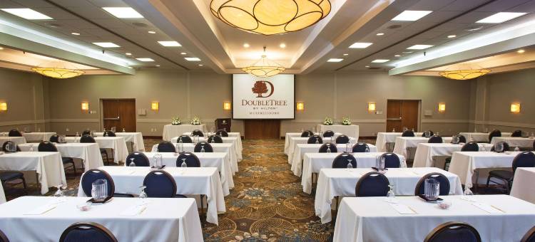 默夫里斯伯勒逸林酒店(DoubleTree by Hilton Hotel Murfreesboro)图片