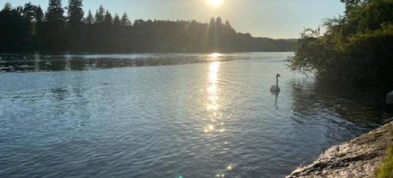 Ferienwohnung Verschnuufeckli图片