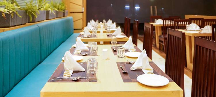 乌代布尔舒适酒店(Comfort Inn Udaipur)图片