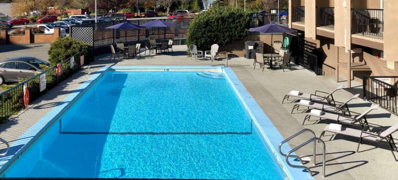 维克 - 登高精选酒店(The Vic, Ascend Hotel Collection)图片