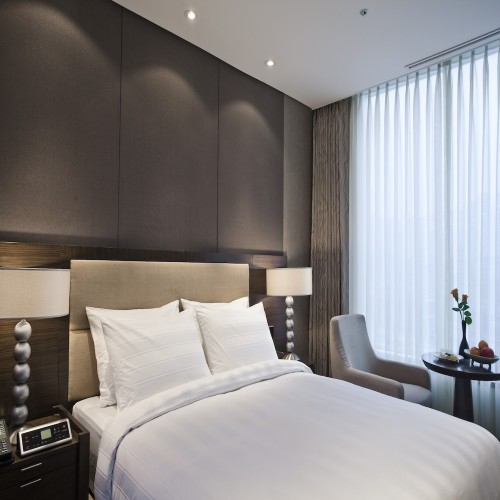 LOTTE CITY HOTEL MAPOOver view