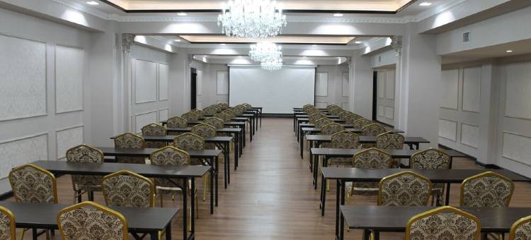 雷卡兹公园酒店(Reikartz Park Astana ex-Royal Park Hotel & Spa)图片