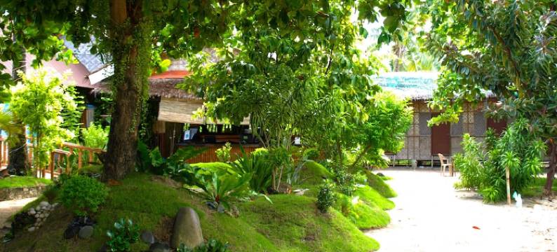 鲨鱼尾巴潜水中心酒店(The Shark's Tail Dive Center)图片