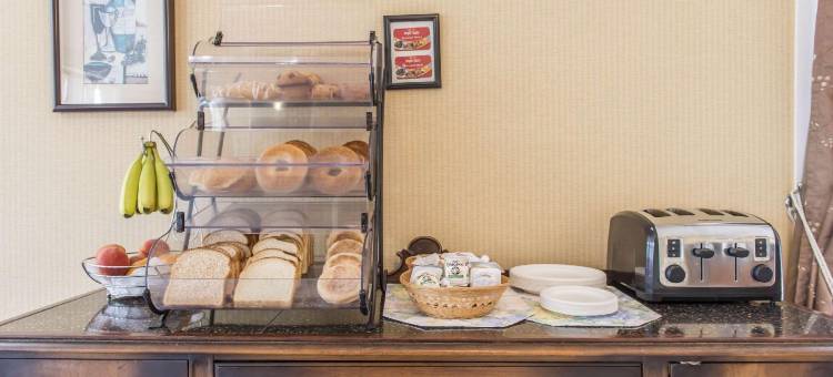 彭布罗克温德姆速 8 酒店(Super 8 by Wyndham Pembroke)图片