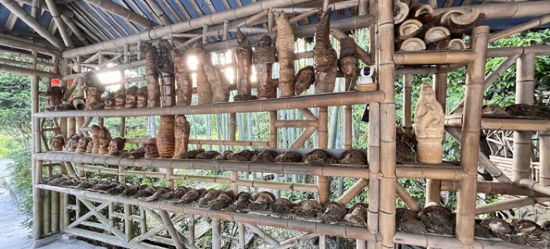 蜀南竹海赋竹居民宿图片