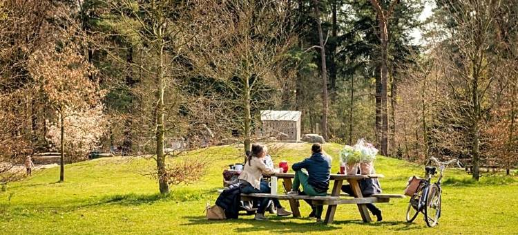 阿培尔顿好住旅馆(Stayokay Hostel Apeldoorn)图片